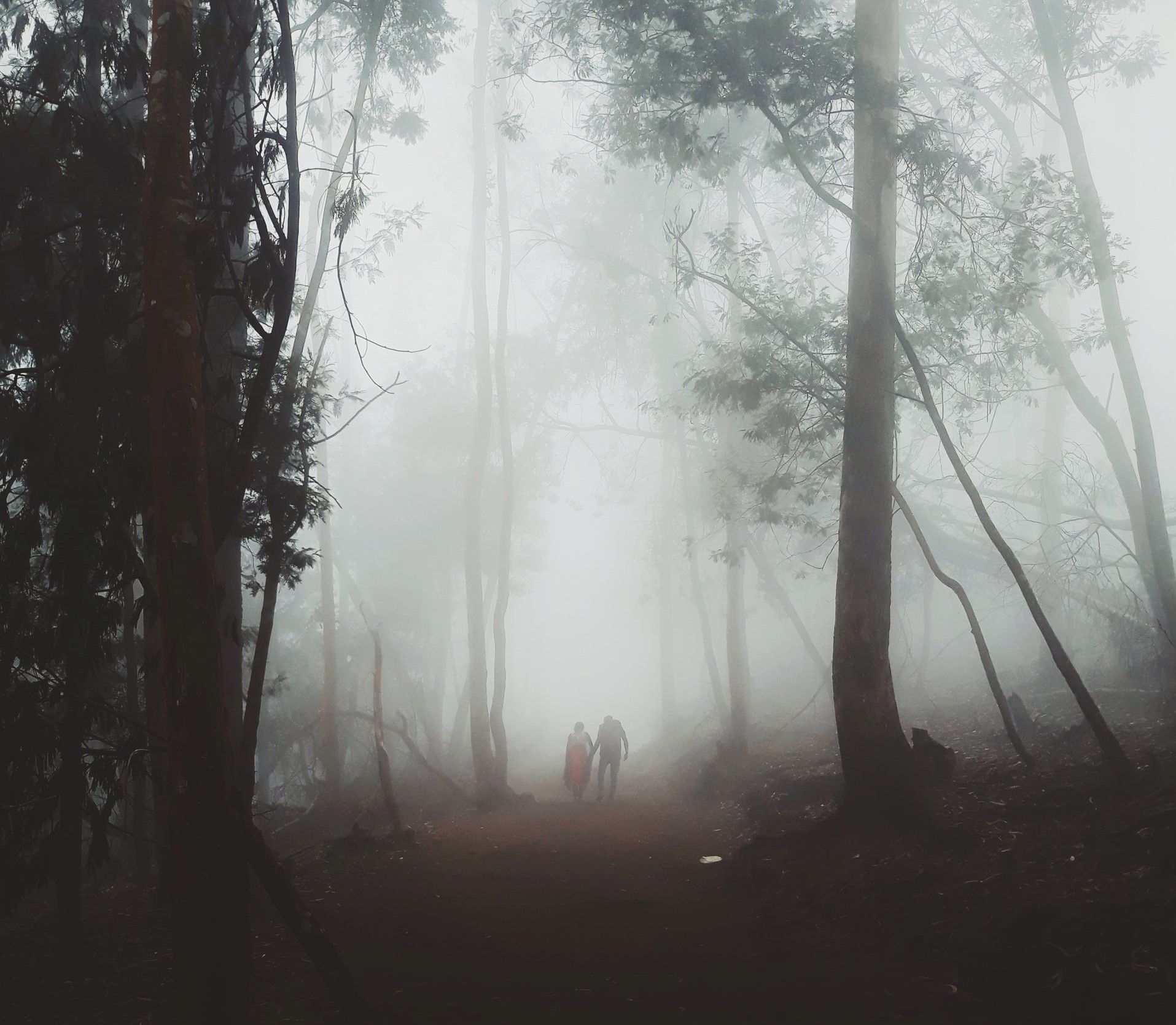 Unlocking The Secrets Of Invisibility: Lessons From Frodo'S Cloak - 4wc6bbz